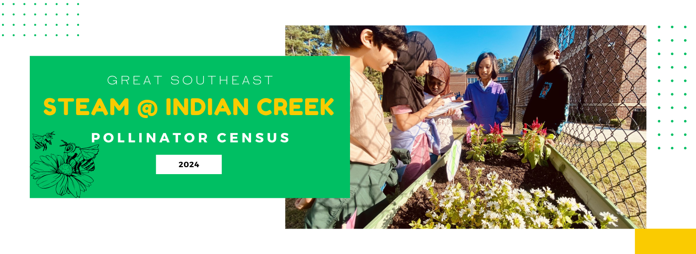 Great southeast pollinator census 2024; STEAM @ Indian Creek; a group of 5 students standing outside observing plants in raised plant bed